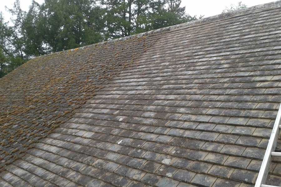 roof cleaning & painting services kilkenny, wexford & waterford revive roofing & building